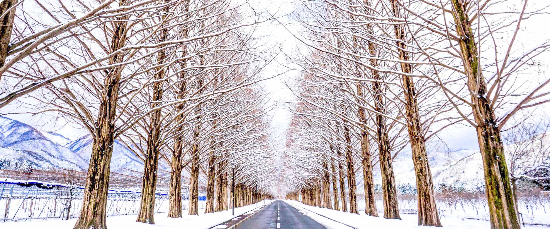 佐倉クレーン学校