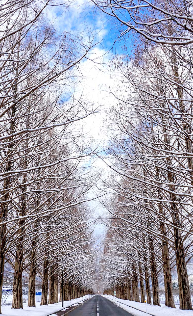 佐倉クレーン学校